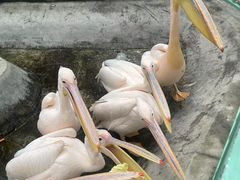 -水上乐园·欢乐世界