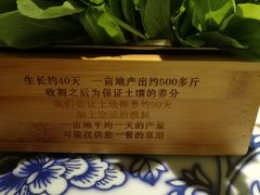 -卢大鲜鱼头捞饭(美利广场店)