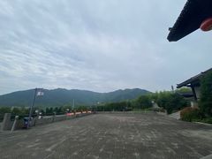 -大唐贡茶院