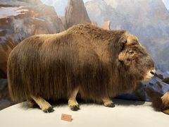 -陕西自然博物馆