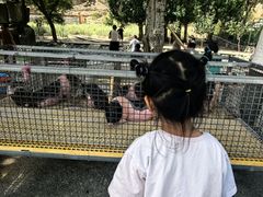 -新疆天山野生动物园