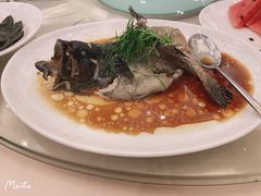 清正珍珠龙趸-海逸海鲜酒家(古北店)