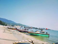 -宝安西湾红树林湿地公园