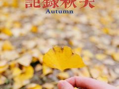 -汉景帝阳陵博物院