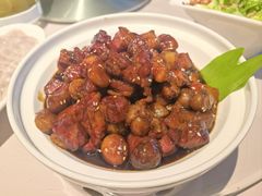 -京北渔家傲