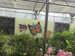 -南宫五洲植物乐园