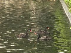 -佬湘楼(越秀城市广场店)