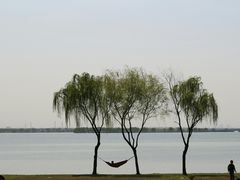 -漕湖湿地公园