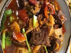 -三十三碗黄牛肉面(东原1891店)