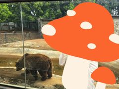 -昆明动物园
