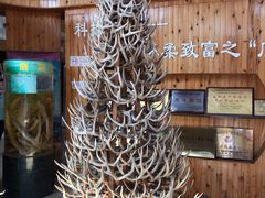 -北京鹿世界主题园