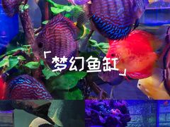 -多彩贵州城极地海洋世界