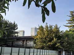 -喜洲吧·江畔老船厂·庭院餐厅(喜临院店)