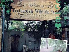 -费瑟代尔野生动物园