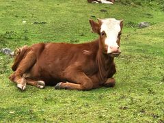 -硗碛藏寨·神木垒景区