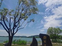 -渤公岛生态公园