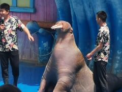 -华夏文旅海洋公园