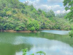 -深圳仙湖植物园