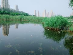 -前关湿地公园