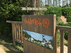 -前小桔亲子创意农场·草莓采摘·露营烧烤
