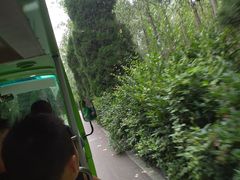 -合肥滨湖国家森林公园