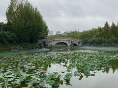 -郑州方特梦幻王国