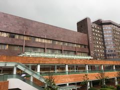 -香港大学