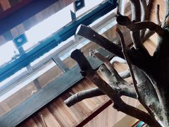 -渔太泰漓江小馆·广西融合菜(西街店)