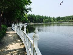 -关东文化园