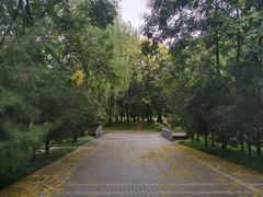 -洛阳市隋唐城遗址植物园