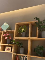 -卡莫瑜伽·普拉提