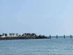 -八大关景区