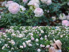 -人民公园(罗湖区)