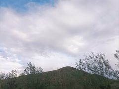 -苏木山森林公园