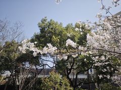 -徐家汇源景区-衡山公园