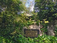-广州兰圃