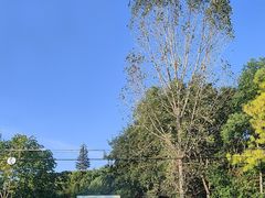 -游子山休闲旅游区