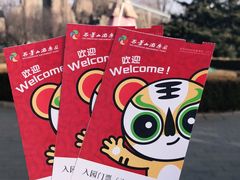 -北京石景山游乐园