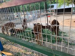 -武汉紫薇都市田园