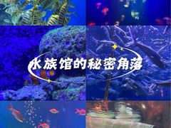 -成都浩海立方海洋公园