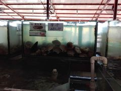 -海上驿站渔家菜馆