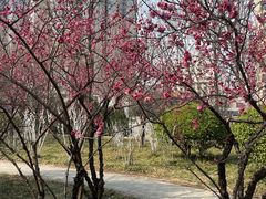 -山东大学(趵突泉校区)