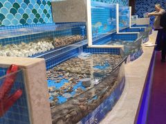 海鲜-乔哥铭洋海鲜自助(皇城恒隆广场店)