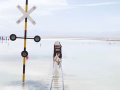 -青海茶卡盐湖文化旅游发展股份有限公司