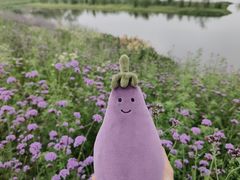 -洋湖国家湿地公园