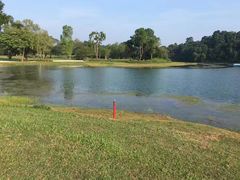 -武吉知马自然保护区