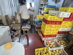 -樂桃源奉贤黄桃种植采摘基地