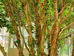 -南通洲际绿博园