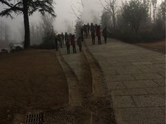 -习家池