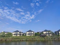 -杭州湾海上花田景区